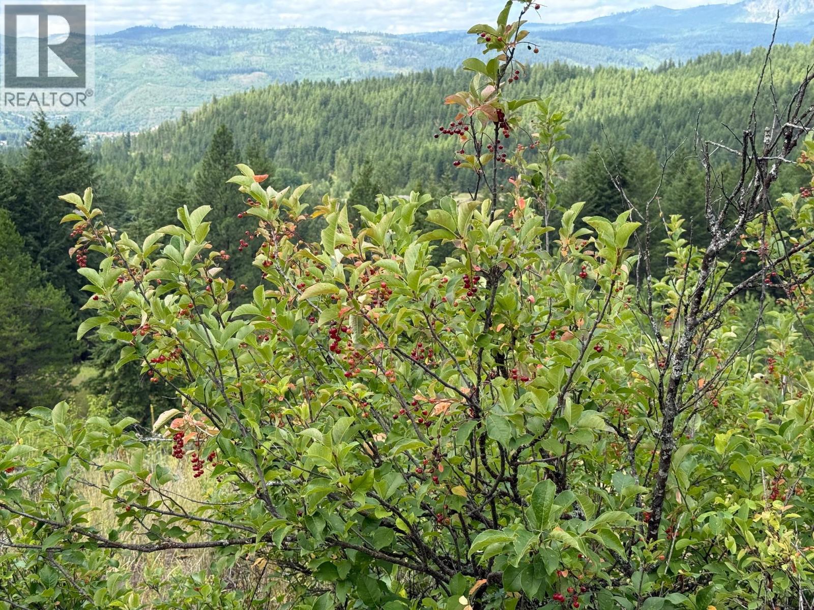 Lot 2 Gordon Creek Road, Barriere, British Columbia  V0E 1E0 - Photo 12 - 10391274
