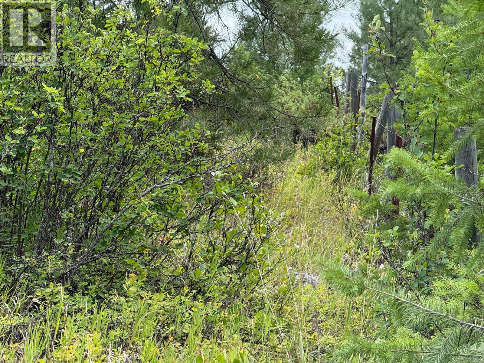Lot 2 Gordon Creek Road, Barriere, British Columbia  V0E 1E0 - Photo 14 - 10391274