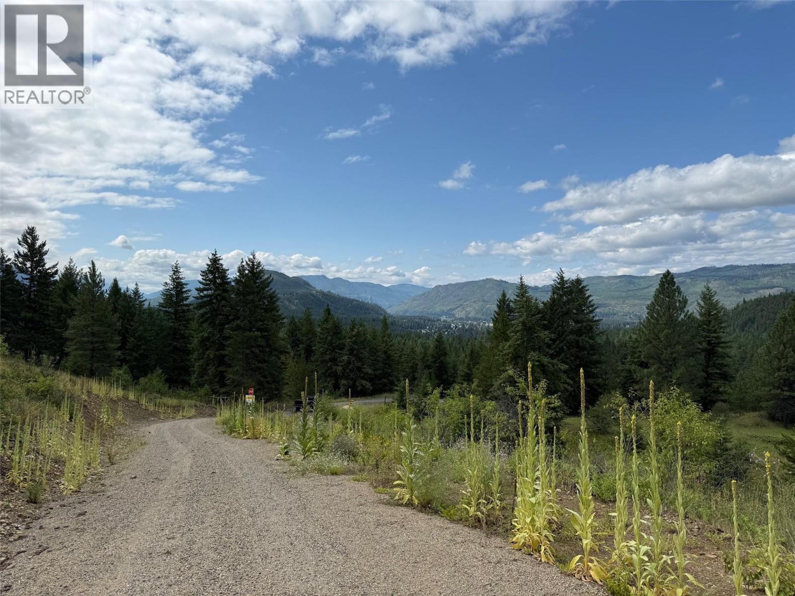 Lot 2 Gordon Creek Road, Barriere, British Columbia  V0E 1E0 - Photo 2 - 10391274