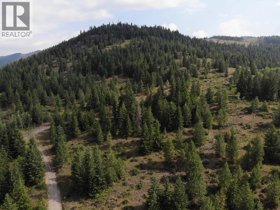 Lot 2 Gordon Creek Road, Barriere, British Columbia  V0E 1E0 - Photo 21 - 10391274