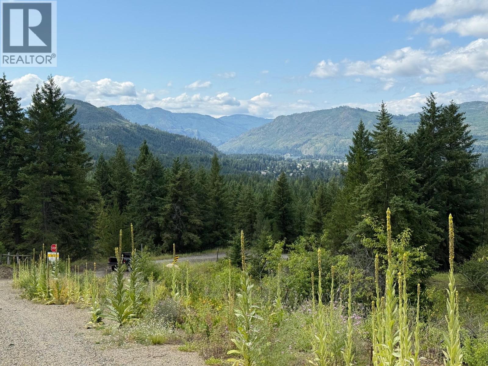 Lot 2 Gordon Creek Road, Barriere, British Columbia  V0E 1E0 - Photo 3 - 10391274