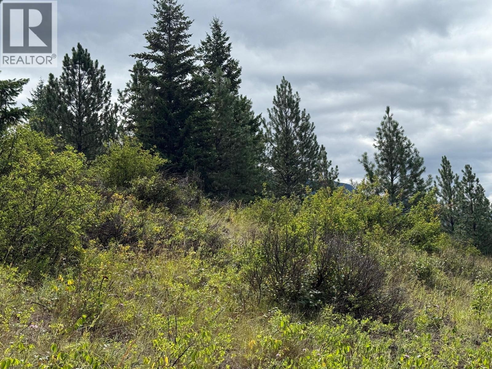 Lot 2 Gordon Creek Road, Barriere, British Columbia  V0E 1E0 - Photo 4 - 10391274