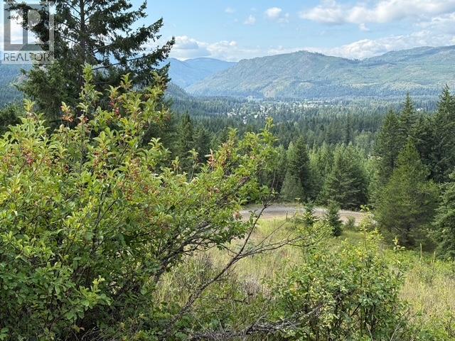 Lot 2 Gordon Creek Road, Barriere, British Columbia  V0E 1E0 - Photo 6 - 10391274