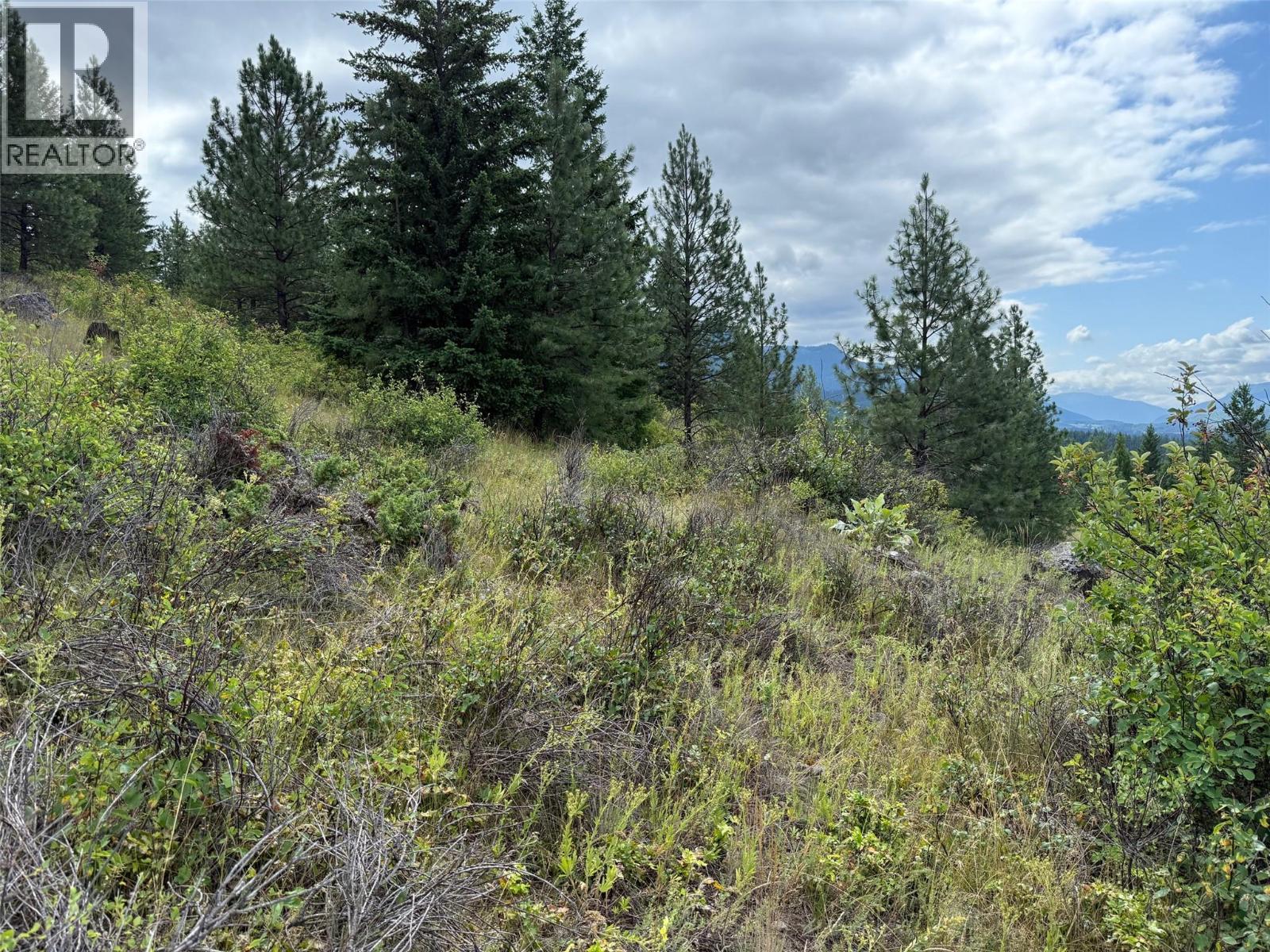 Lot 2 Gordon Creek Road, Barriere, British Columbia  V0E 1E0 - Photo 7 - 10391274