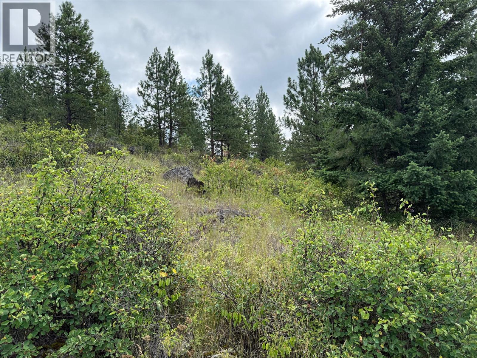 Lot 2 Gordon Creek Road, Barriere, British Columbia  V0E 1E0 - Photo 8 - 10391274
