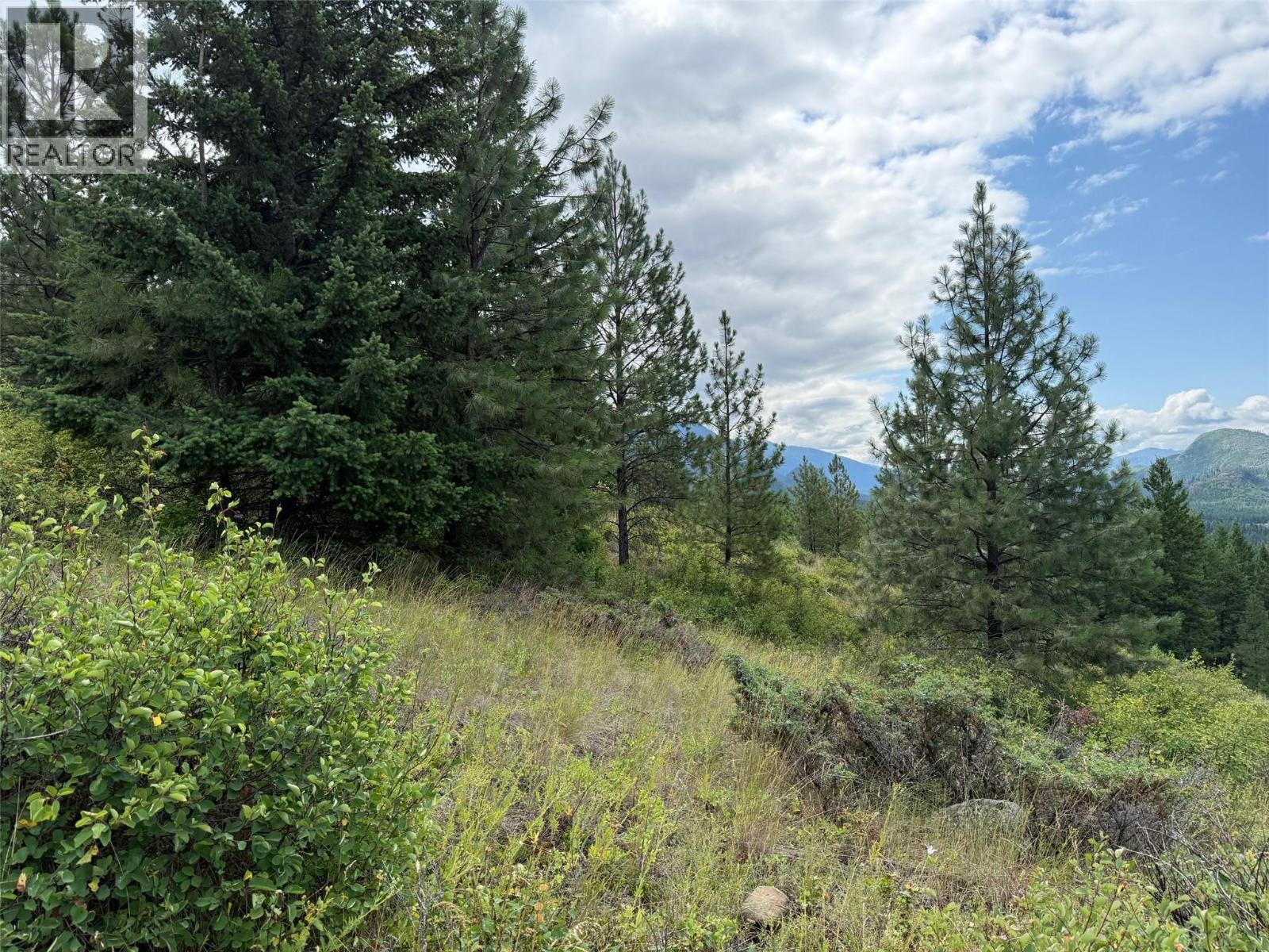Lot 2 Gordon Creek Road, Barriere, British Columbia  V0E 1E0 - Photo 9 - 10391274