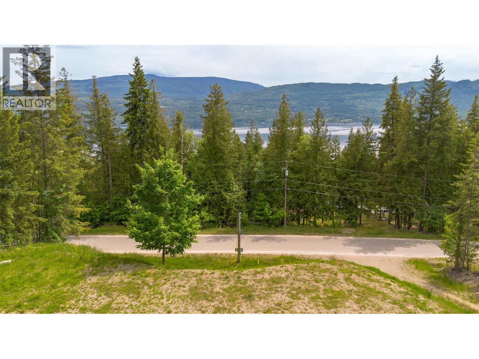 7503 Estate Drive, Anglemont, British Columbia  V0E 1M8 - Photo 10 - 10389466