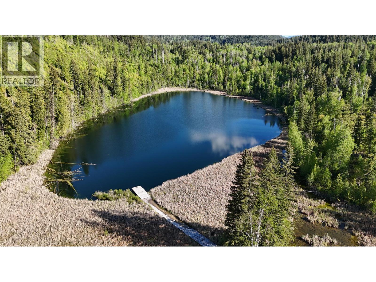 4081 Mcnab Road Lot# Dl 1828, Little Fort, British Columbia  V0E 2C0 - Photo 17 - 10390332