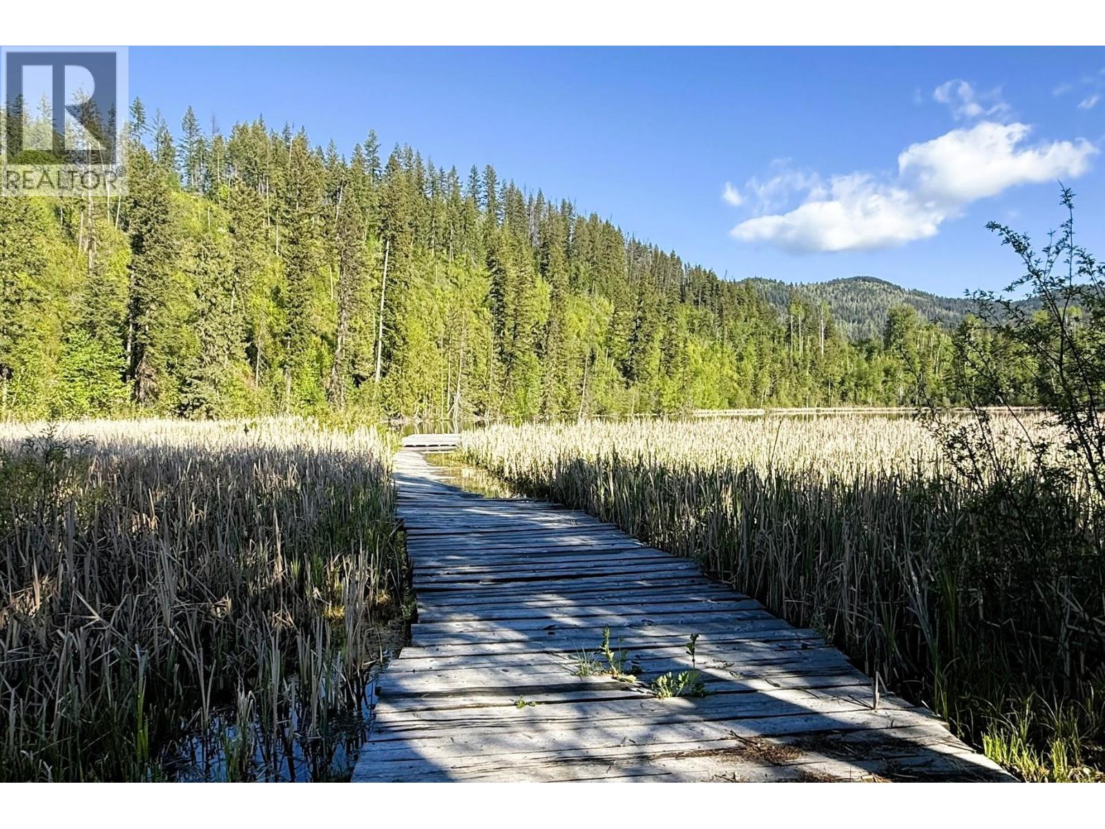 4081 Mcnab Road Lot# Dl 1828, Little Fort, British Columbia  V0E 2C0 - Photo 18 - 10390332