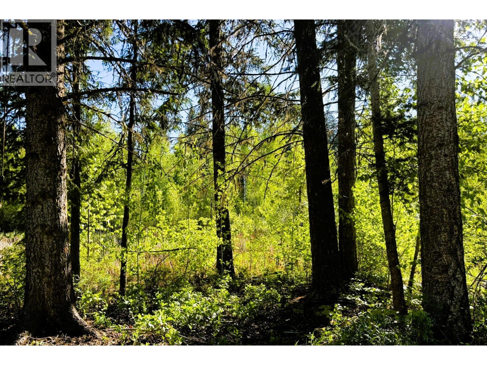 4081 Mcnab Road Lot# Dl 1828, Little Fort, British Columbia  V0E 2C0 - Photo 77 - 10390332