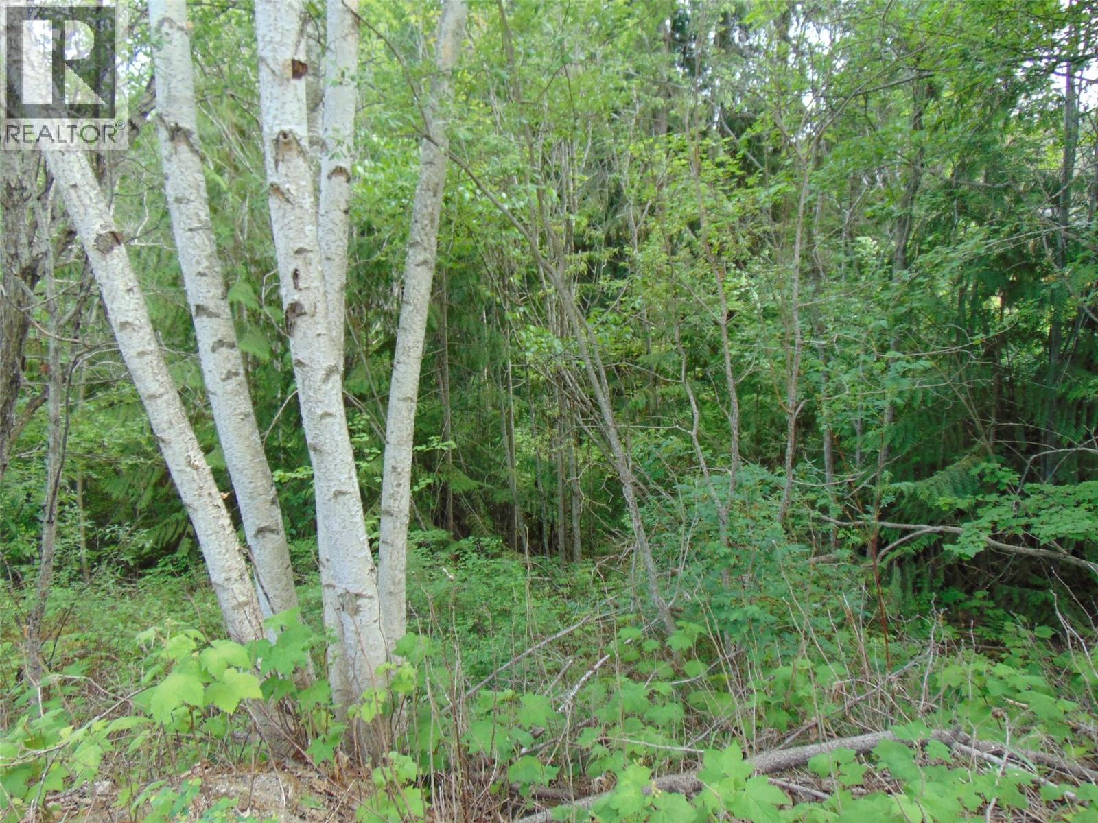 Juniper Circle Lot# 79, Blind Bay, British Columbia  V0E 2W2 - Photo 2 - 10391285