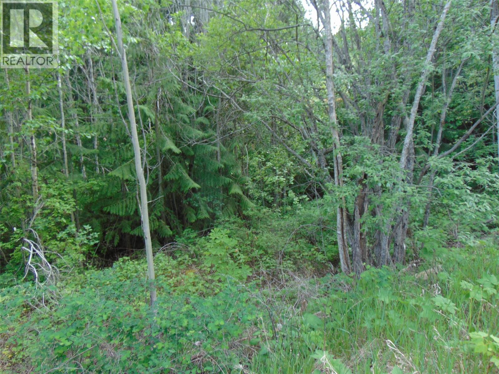 Juniper Circle Lot# 79, Blind Bay, British Columbia  V0E 2W2 - Photo 3 - 10391285
