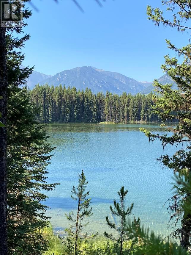 Km 44 Westside Road, Brisco, British Columbia  V0B 1B0 - Photo 1 - 10391164