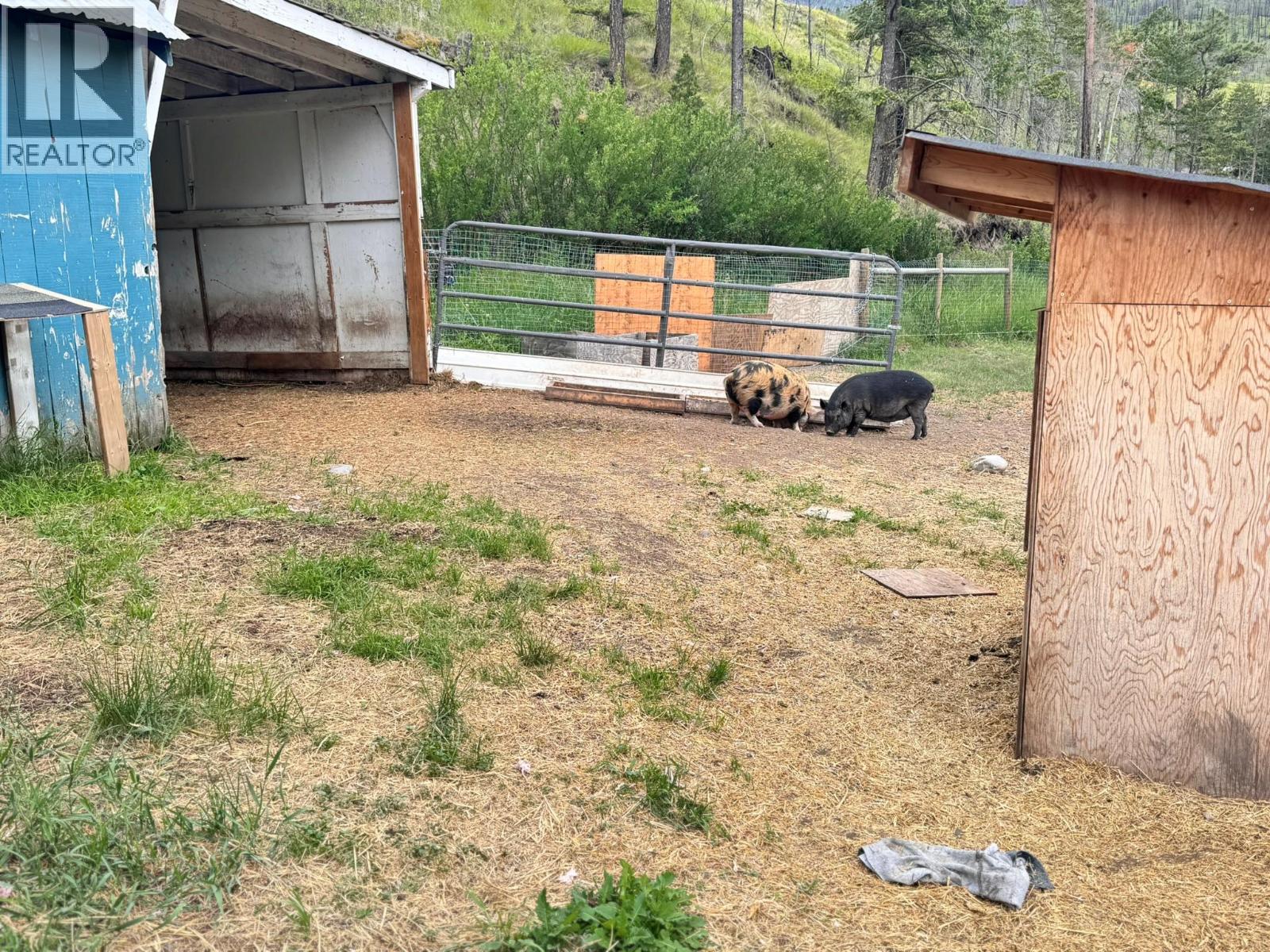 4316 Kamloops Vernon Highway, Westwold, British Columbia  V0E 3B1 - Photo 47 - 10391054
