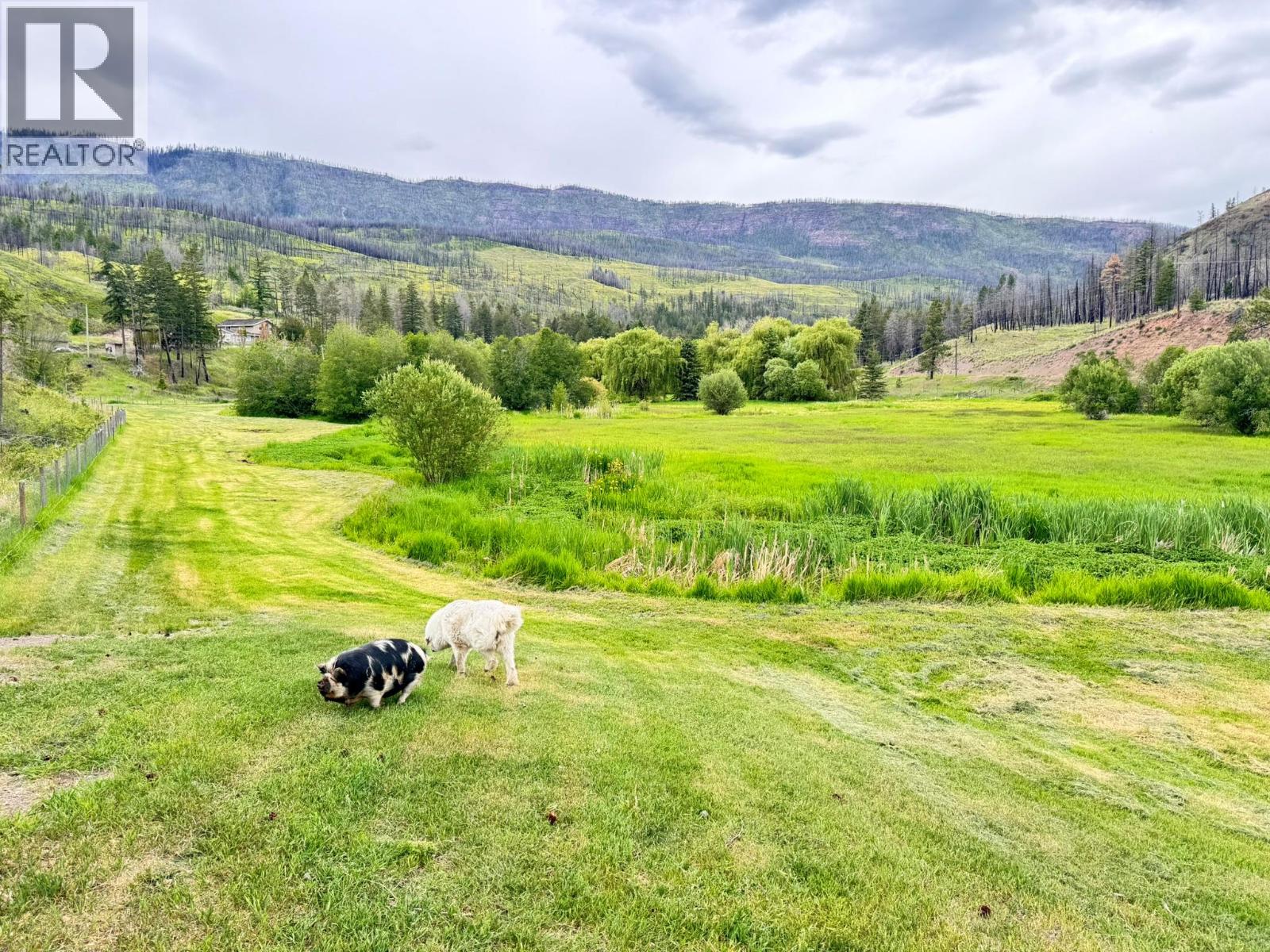4316 Kamloops Vernon Highway, Westwold, British Columbia  V0E 3B1 - Photo 50 - 10391054