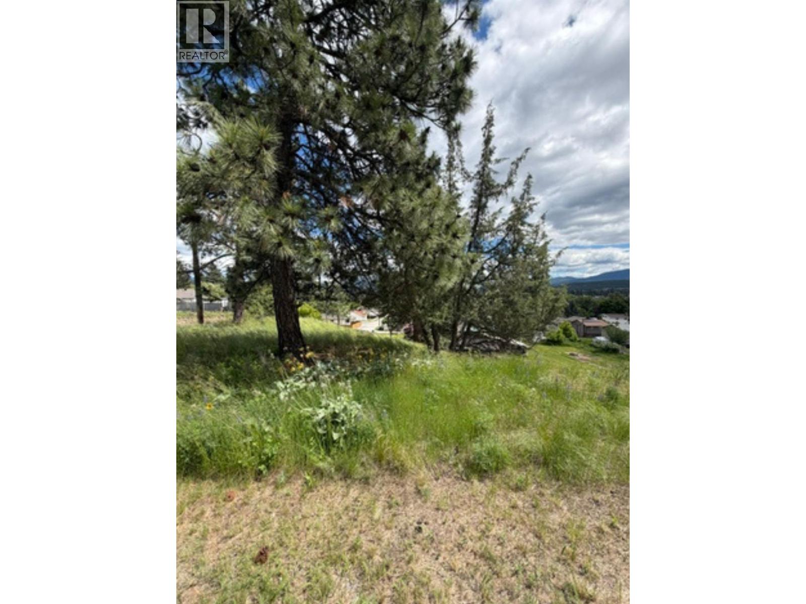 4th Street Nw Lot# B, Cranbrook, British Columbia  V1C 4A3 - Photo 3 - 10391286