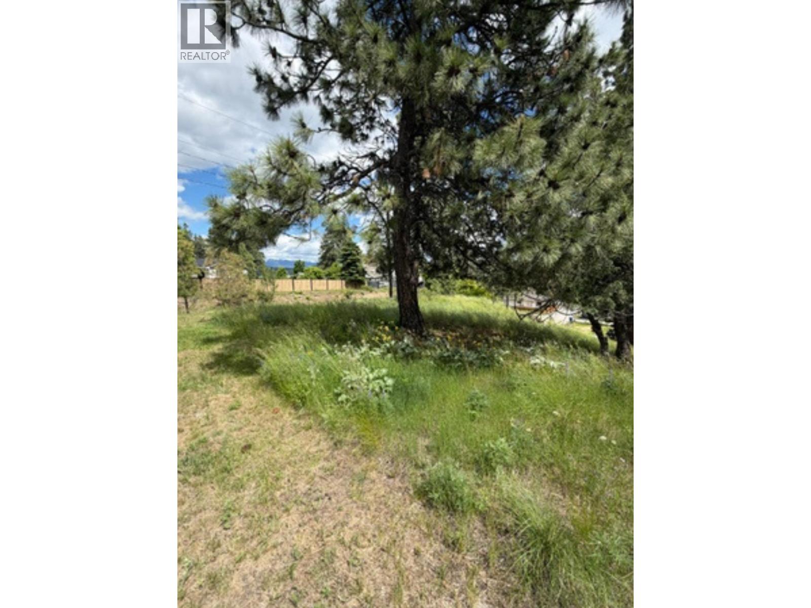 4th Street Nw Lot# B, Cranbrook, British Columbia  V1C 4A3 - Photo 4 - 10391286