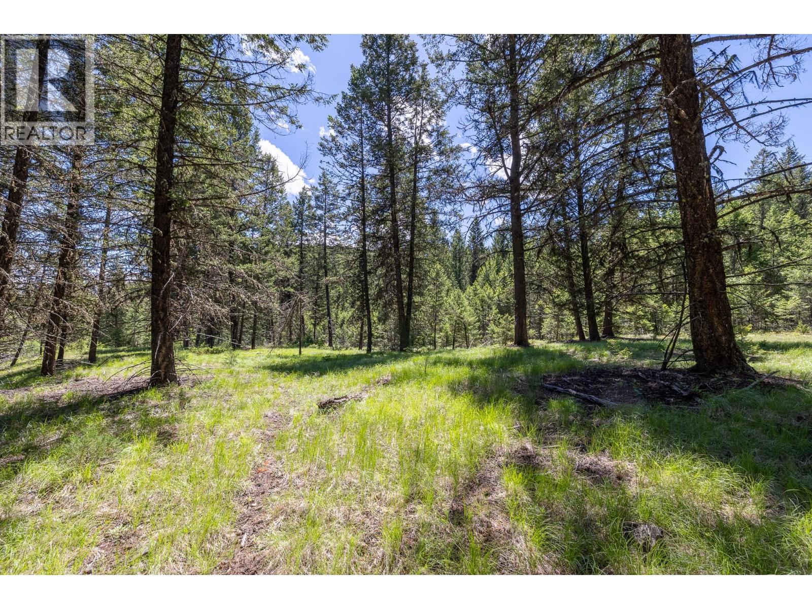 Toby Creek Road Lot# 4, Invermere, British Columbia  V0A 1K5 - Photo 10 - 10390778
