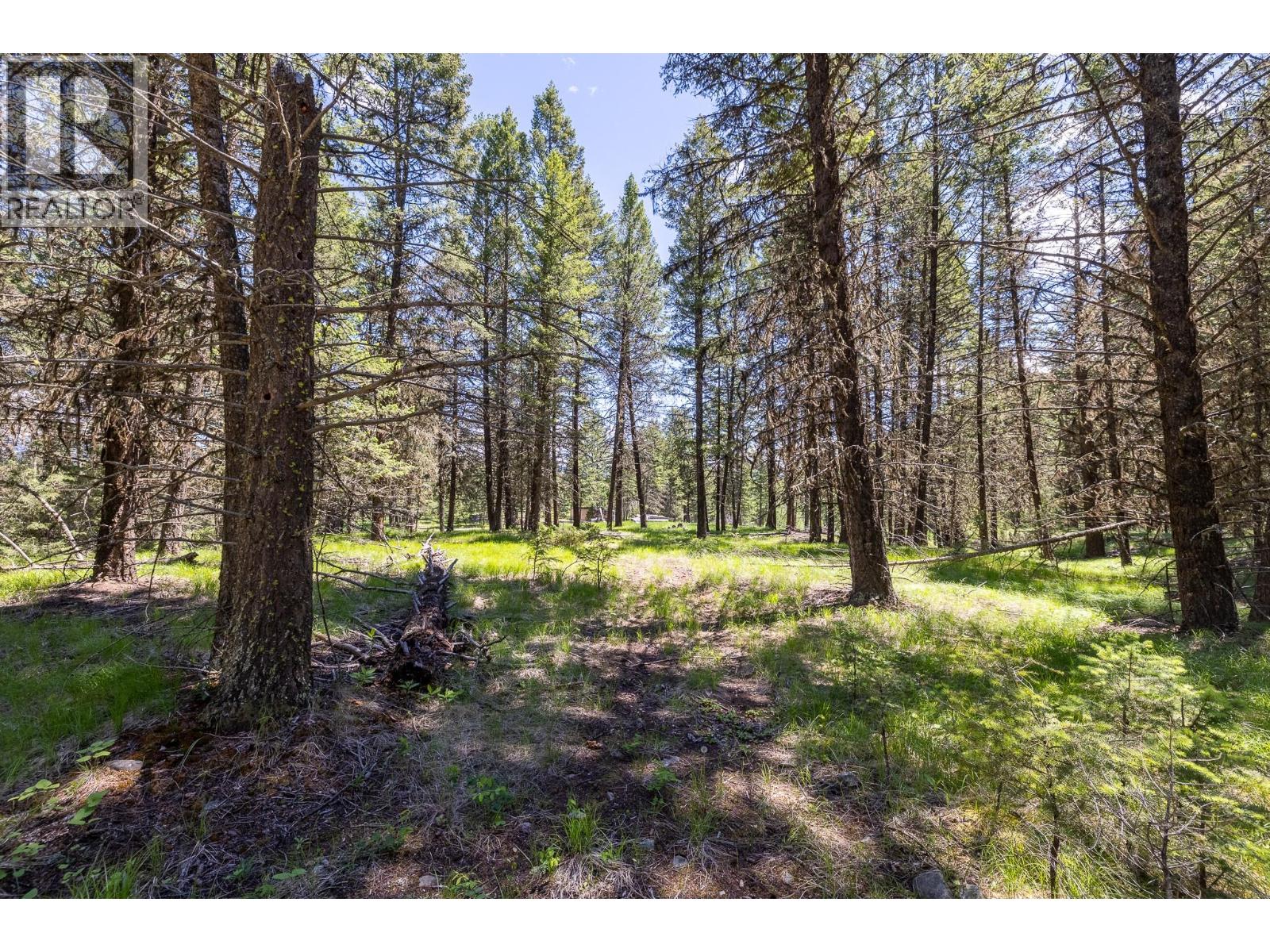 Toby Creek Road Lot# 4, Invermere, British Columbia  V0A 1K5 - Photo 9 - 10390778
