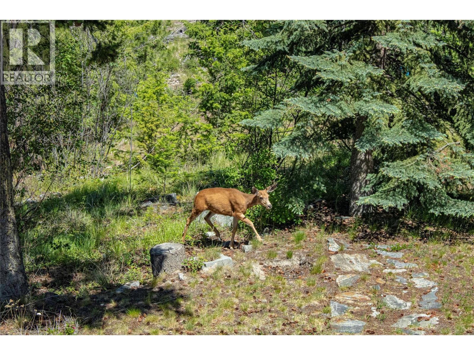 2263 Carmi Road, Penticton, British Columbia  V2A 8V5 - Photo 49 - 10391422
