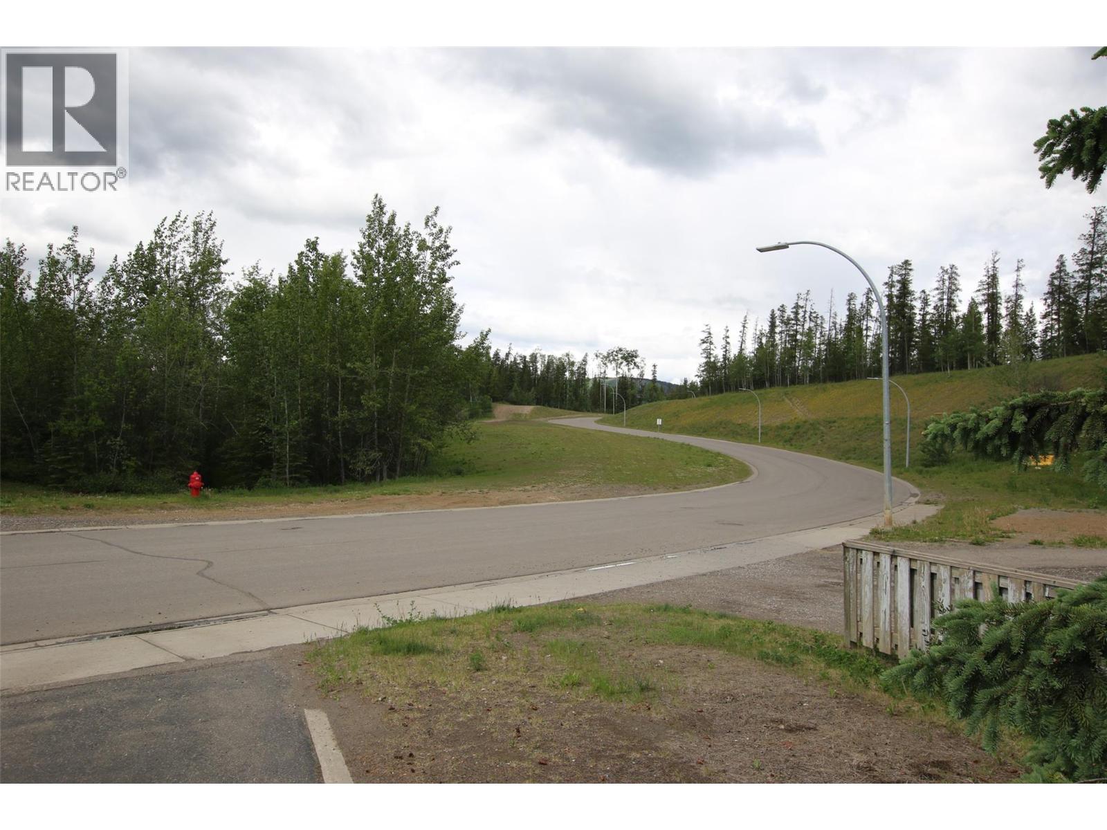 256 Spieker Avenue, Tumbler Ridge, British Columbia  V0C 2W0 - Photo 4 - 10391336