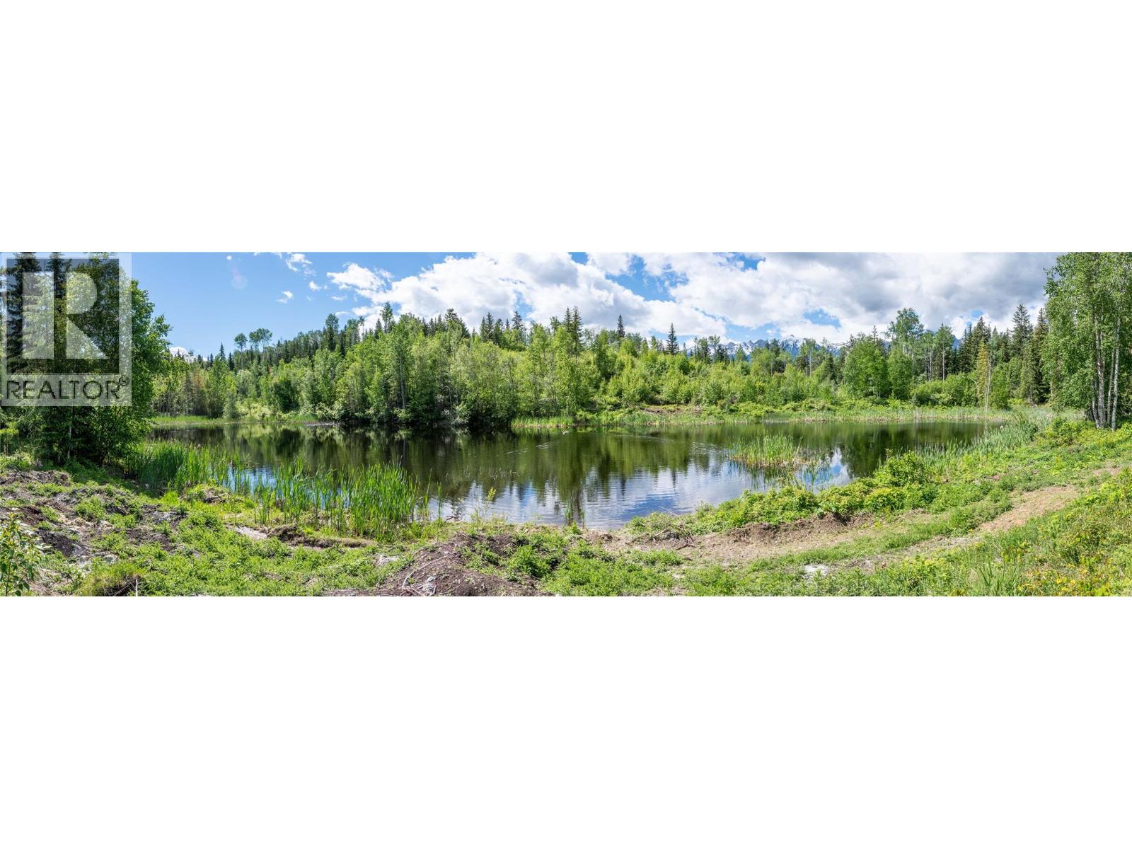 1360 Adolph Johnson Road, Golden, British Columbia  V0A 1H1 - Photo 41 - 10390040