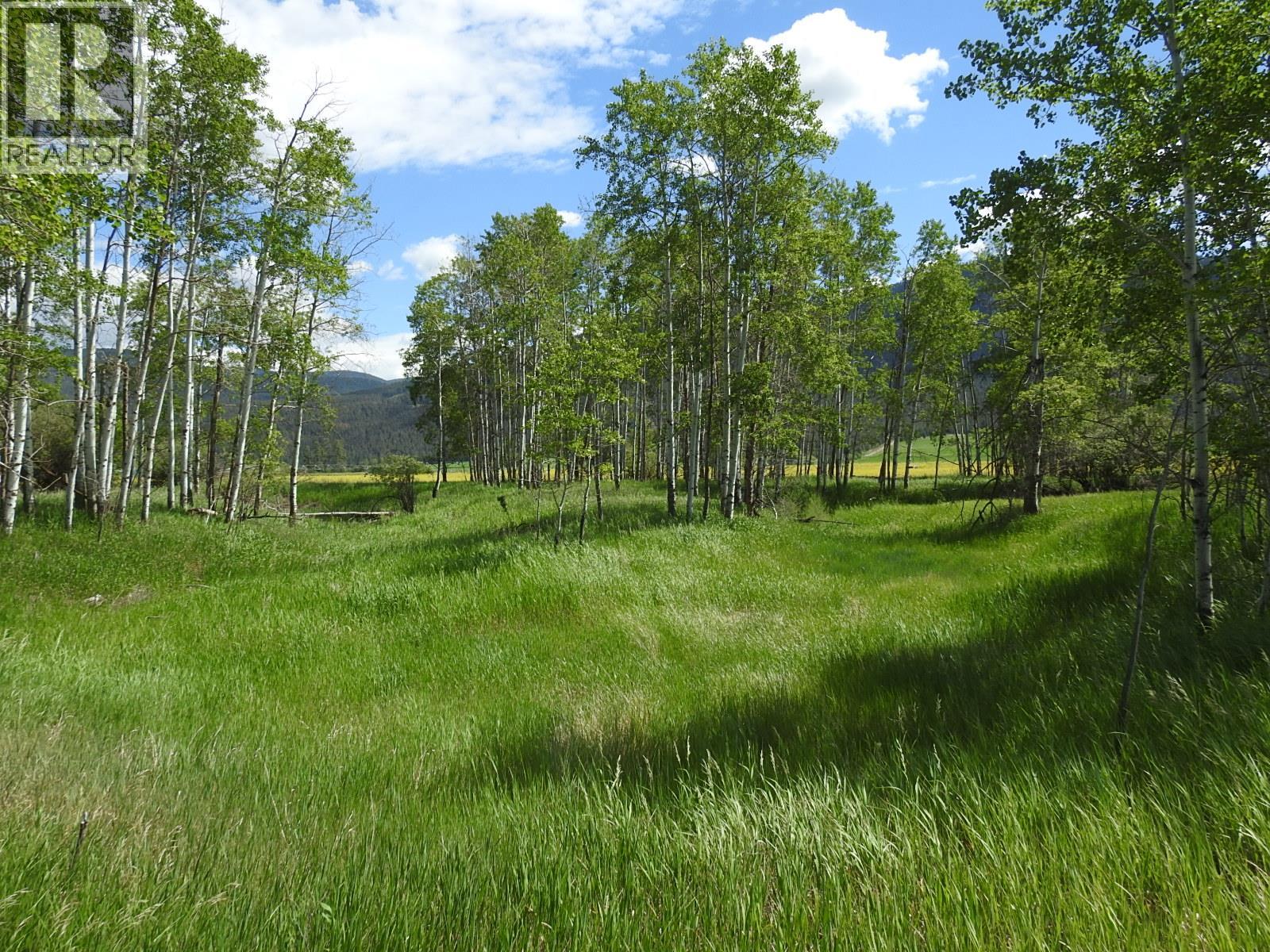 5569 Kamloops-Vernon Highway, Westwold, British Columbia  V0E 3B1 - Photo 29 - 10391483