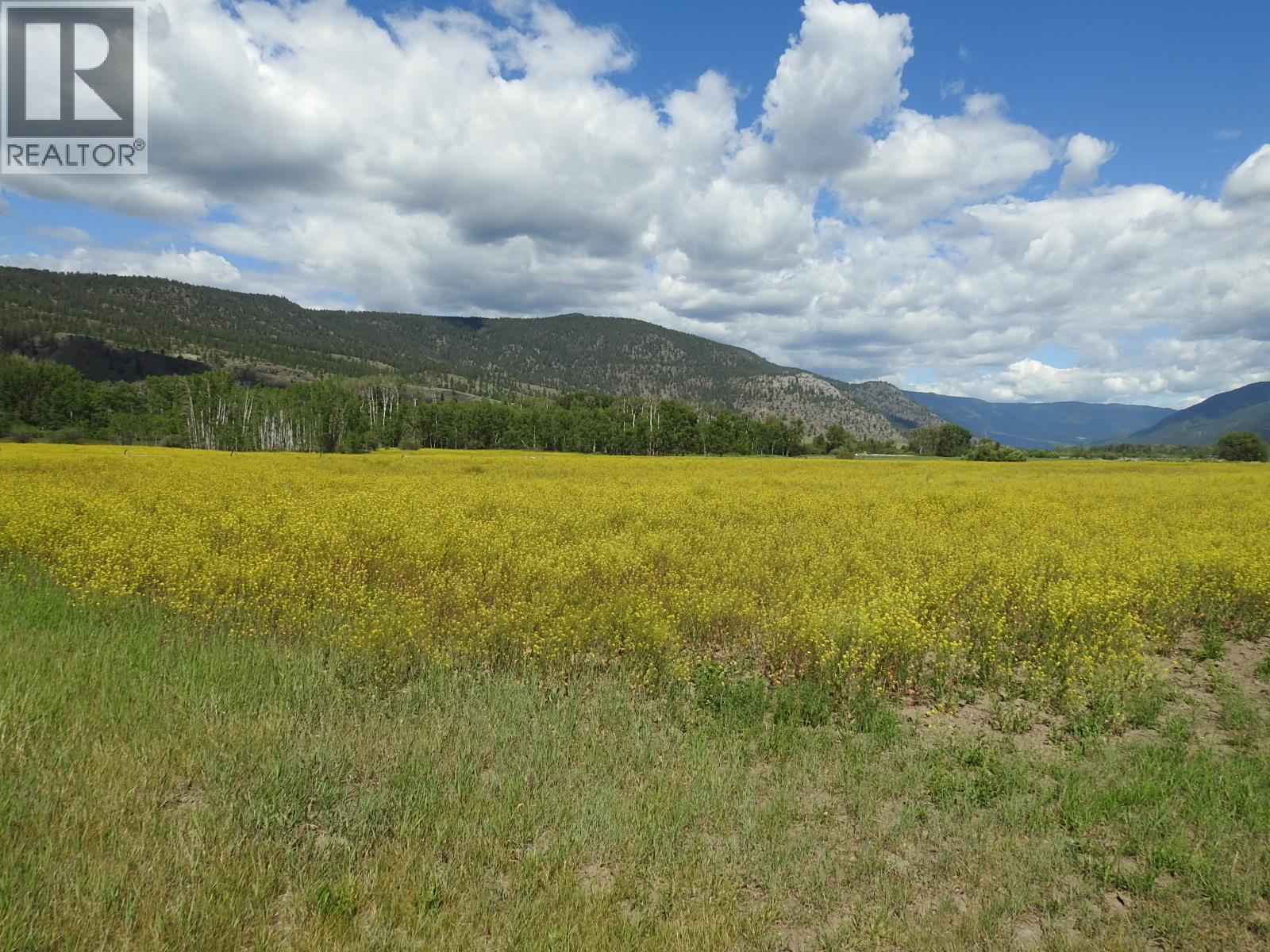 5569 Kamloops-Vernon Highway, Westwold, British Columbia  V0E 3B1 - Photo 37 - 10391483