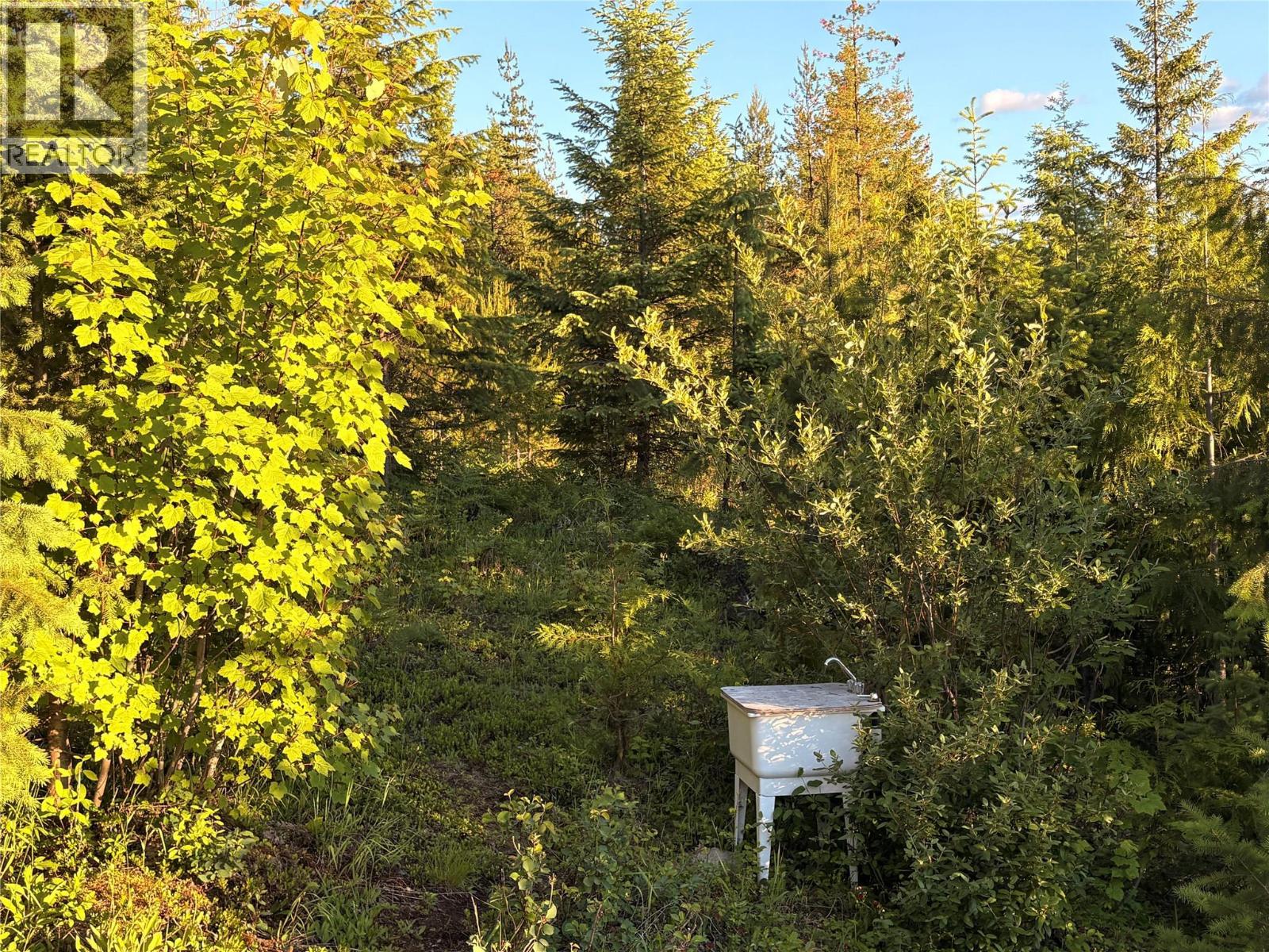 Lot 10 Crown Creek Forest Road, Gray Creek, British Columbia  V0B 1S0 - Photo 41 - 10391534
