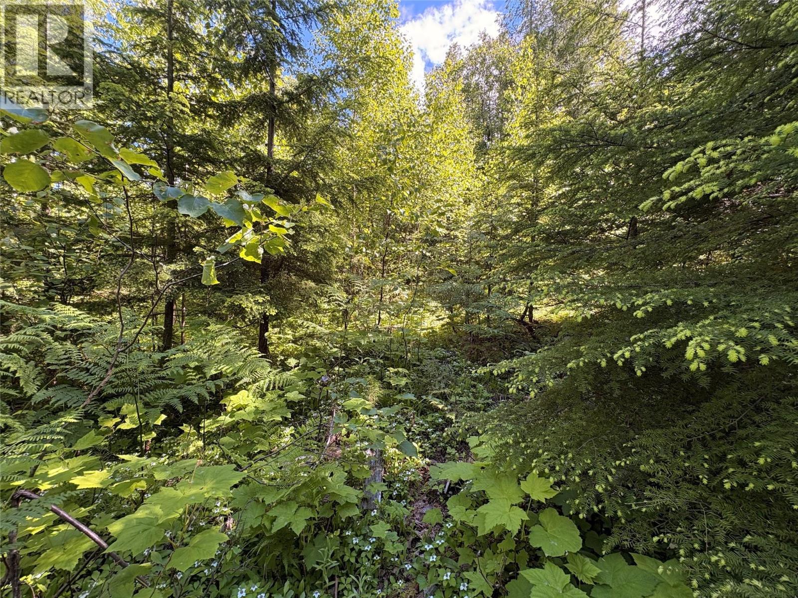 Lot 10 Crown Creek Forest Road, Gray Creek, British Columbia  V0B 1S0 - Photo 78 - 10391534