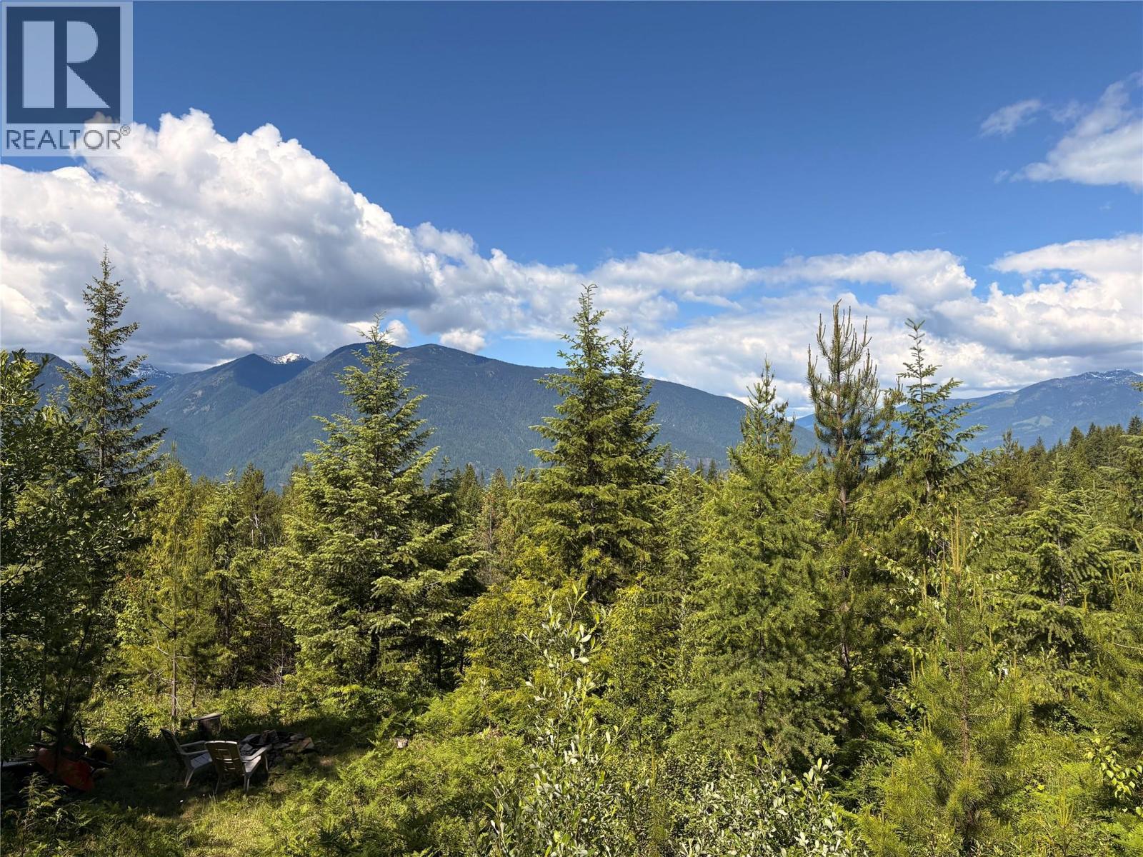 Lot 10 Crown Creek Forest Road, Gray Creek, British Columbia  V0B 1S0 - Photo 79 - 10391534