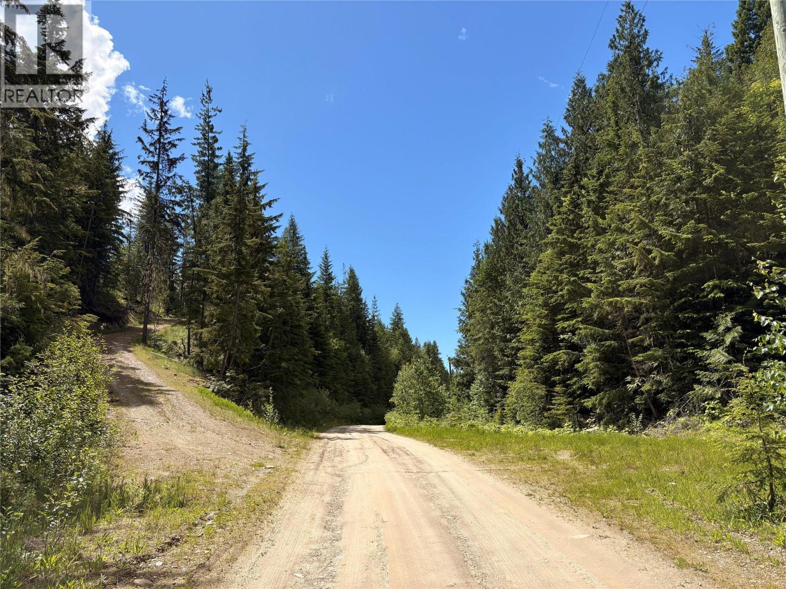 Lot 10 Crown Creek Forest Road, Gray Creek, British Columbia  V0B 1S0 - Photo 82 - 10391534