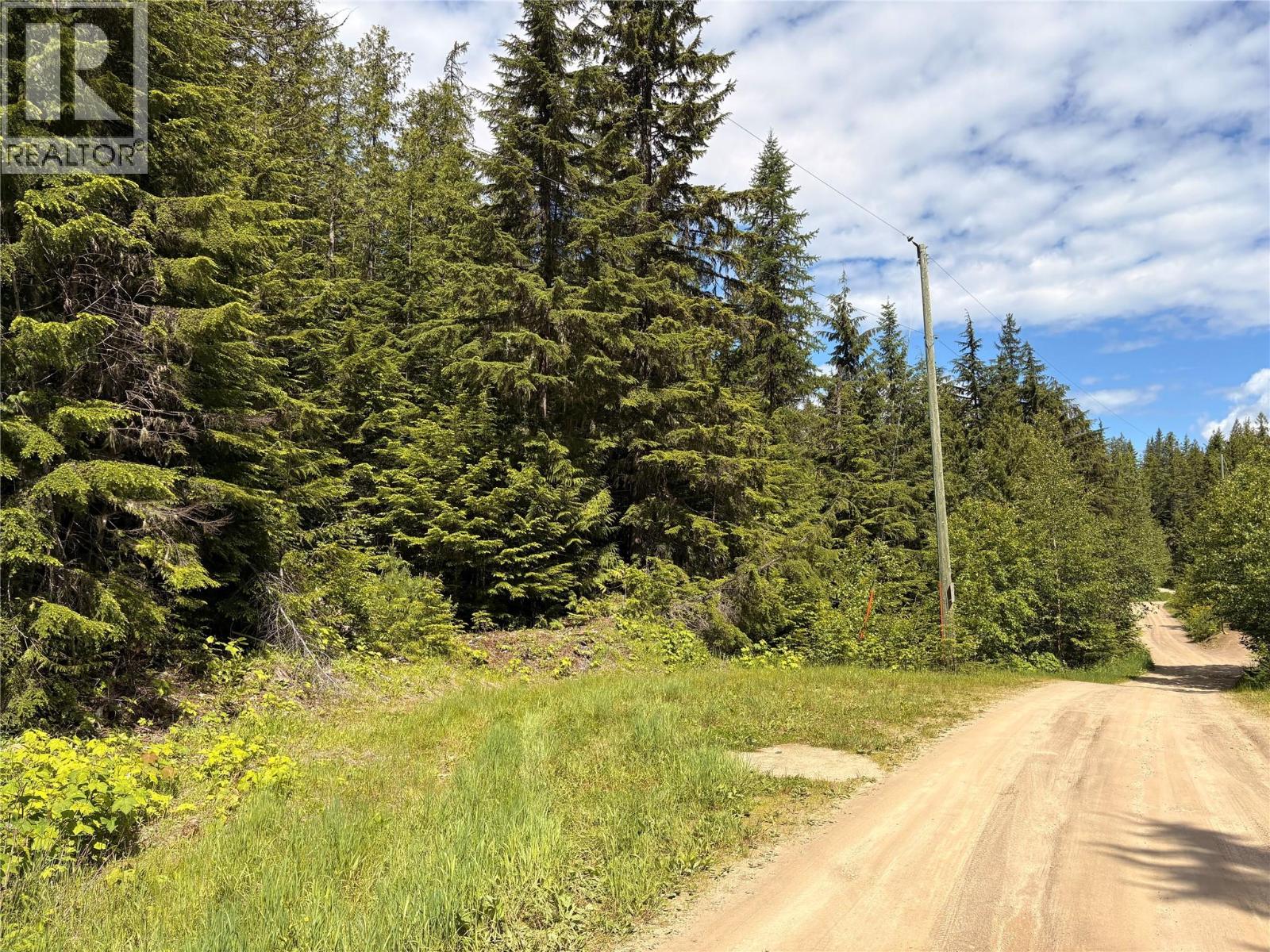 Lot 10 Crown Creek Forest Road, Gray Creek, British Columbia  V0B 1S0 - Photo 84 - 10391534