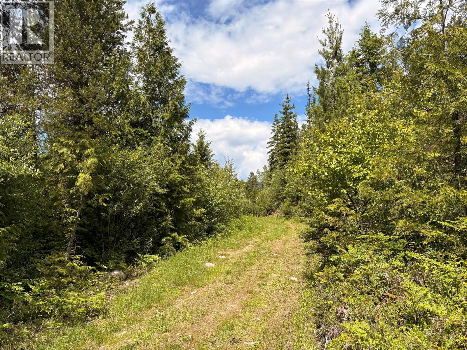 Lot 10 Crown Creek Forest Road, Gray Creek, British Columbia  V0B 1S0 - Photo 85 - 10391534