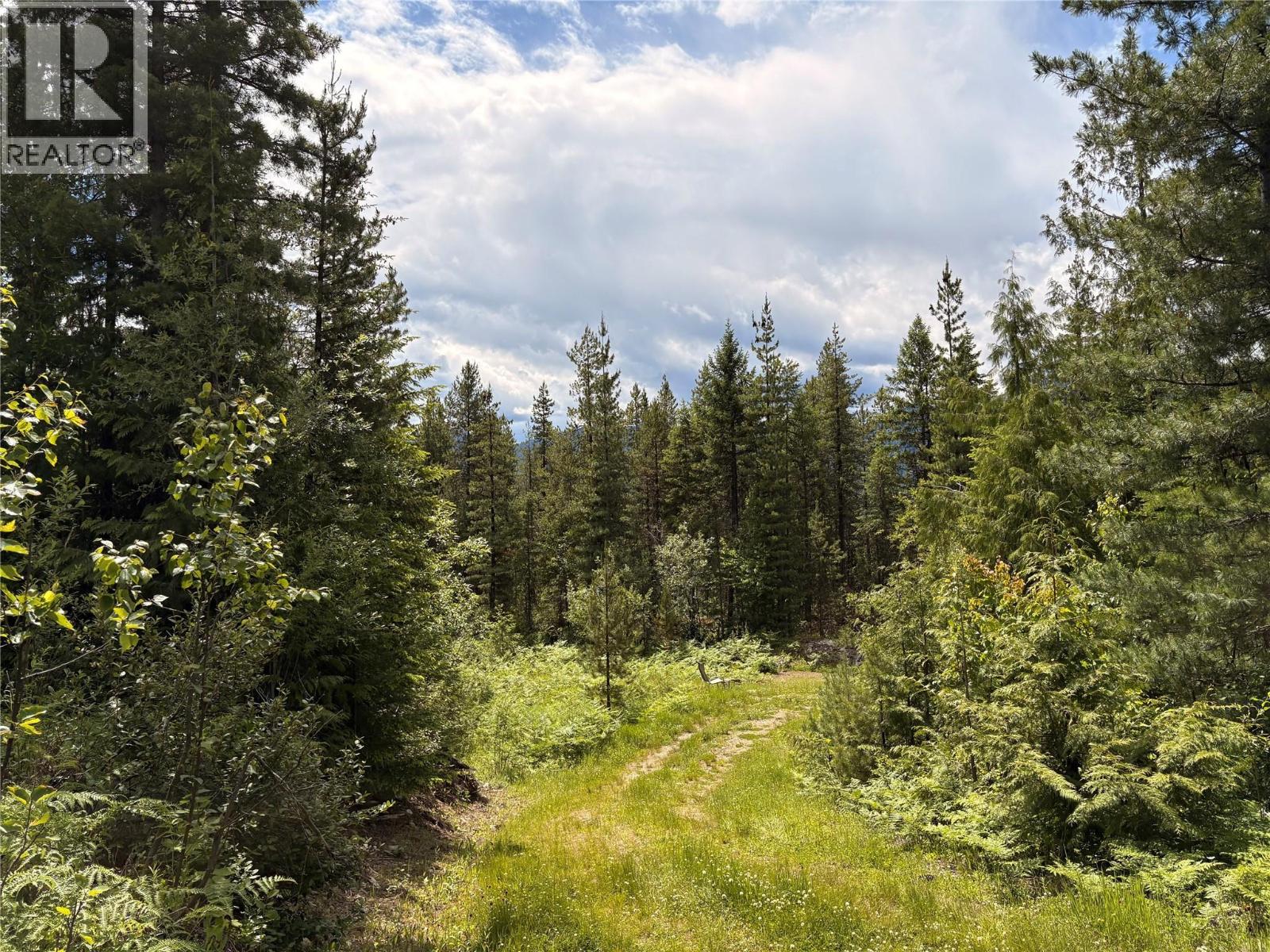 Lot 10 Crown Creek Forest Road, Gray Creek, British Columbia  V0B 1S0 - Photo 86 - 10391534