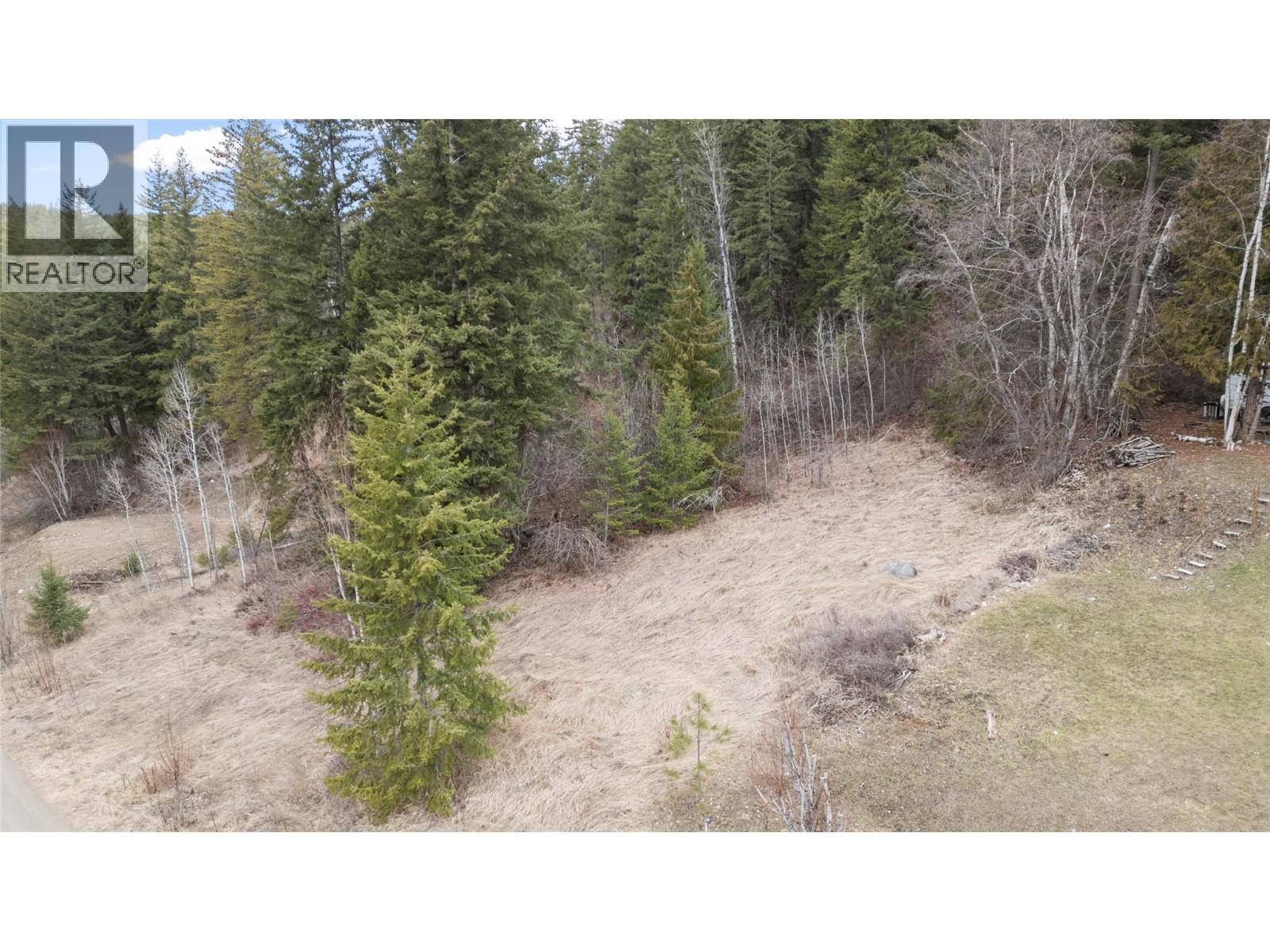 2481 Squilax-Anglemont Road Lot# 21, Lee Creek, British Columbia  V0E 1M4 - Photo 9 - 10391530