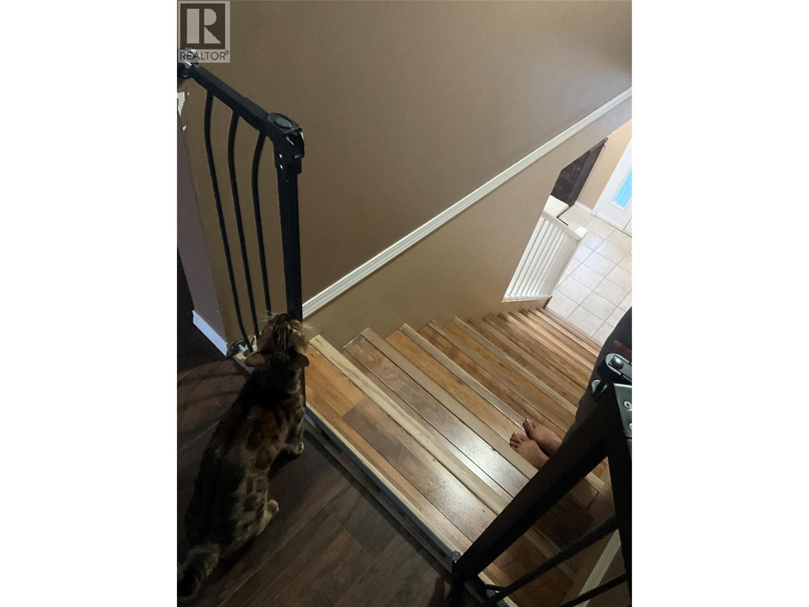 310 Hillaby Avenue, Kelowna, British Columbia  V1X 6G2 - Photo 90 - 10391642