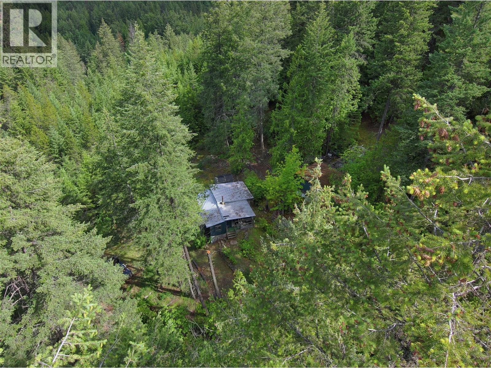 648 Lower Arrow Lake Road, Renata, British Columbia  V1N 4V8 - Photo 6 - 10391760