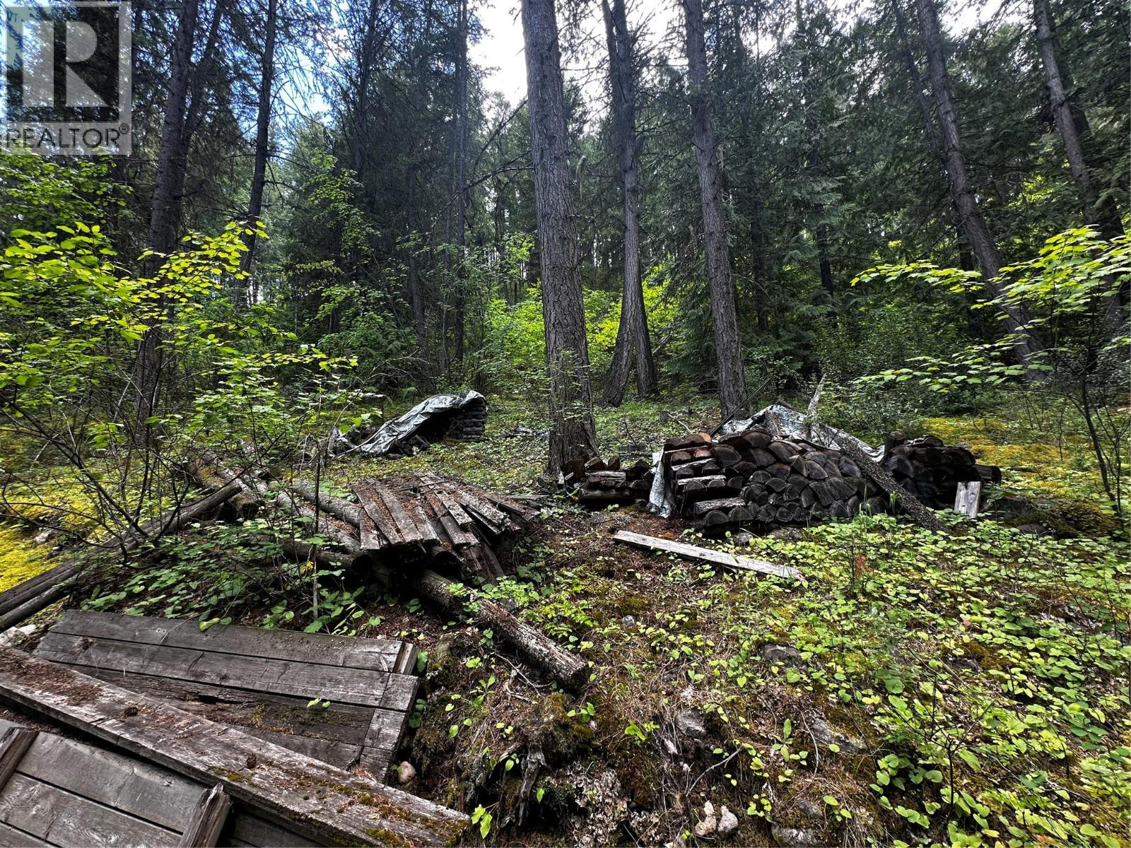 648 Lower Arrow Lake Road, Renata, British Columbia  V1N 4V8 - Photo 63 - 10391760