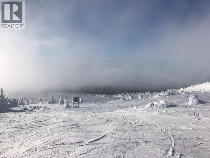 5340 Big White Road Unit# 335, Big White, British Columbia  V1P 1P3 - Photo 55 - 10391332
