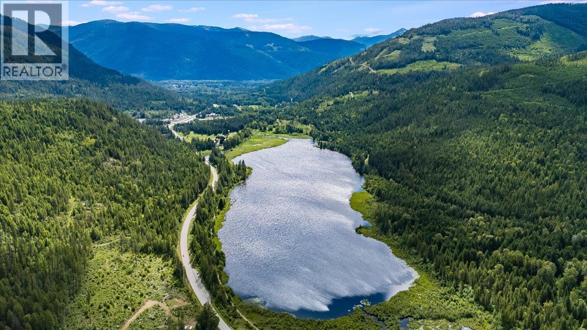 6410 3 Highway, Salmo, British Columbia  V0G 1Z0 - Photo 11 - 10391467