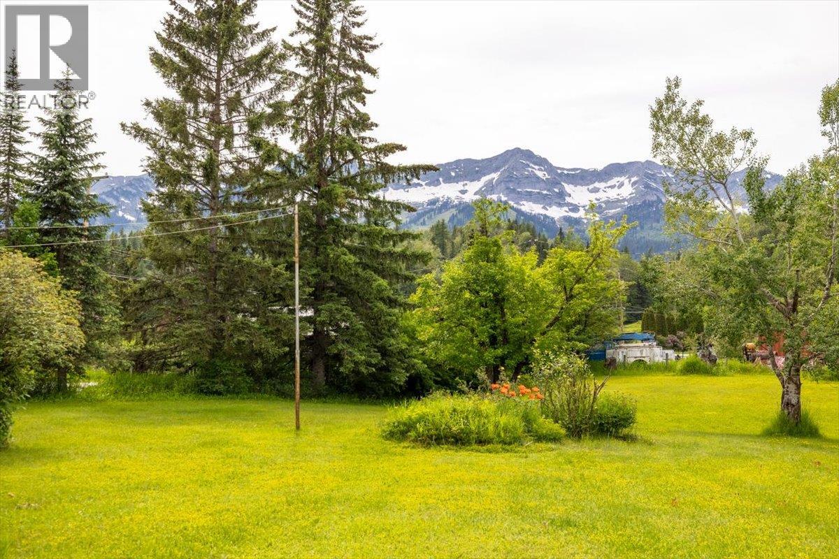 3715 Vanlerberg Road, Fernie, British Columbia  V0B 1M1 - Photo 4 - 10391631