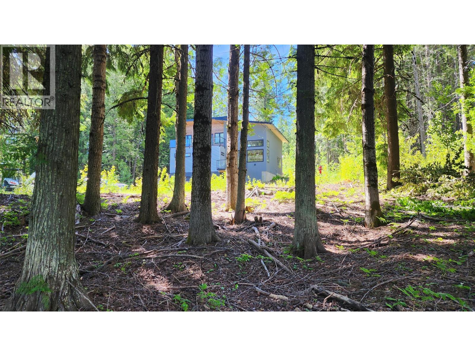 211 Cedar Creek Place, Rossland, British Columbia  V0G 1Y0 - Photo 10 - 10391402