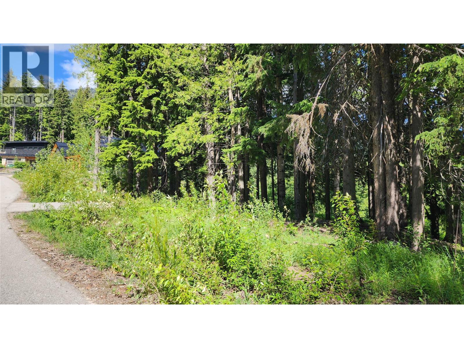 211 Cedar Creek Place, Rossland, British Columbia  V0G 1Y0 - Photo 13 - 10391402