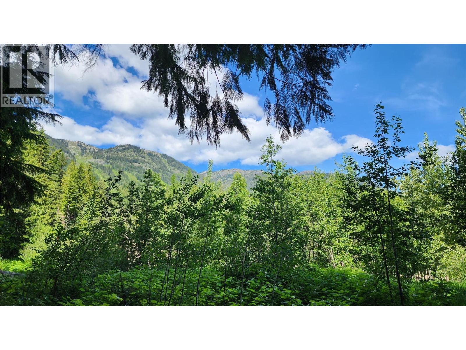211 Cedar Creek Place, Rossland, British Columbia  V0G 1Y0 - Photo 3 - 10391402