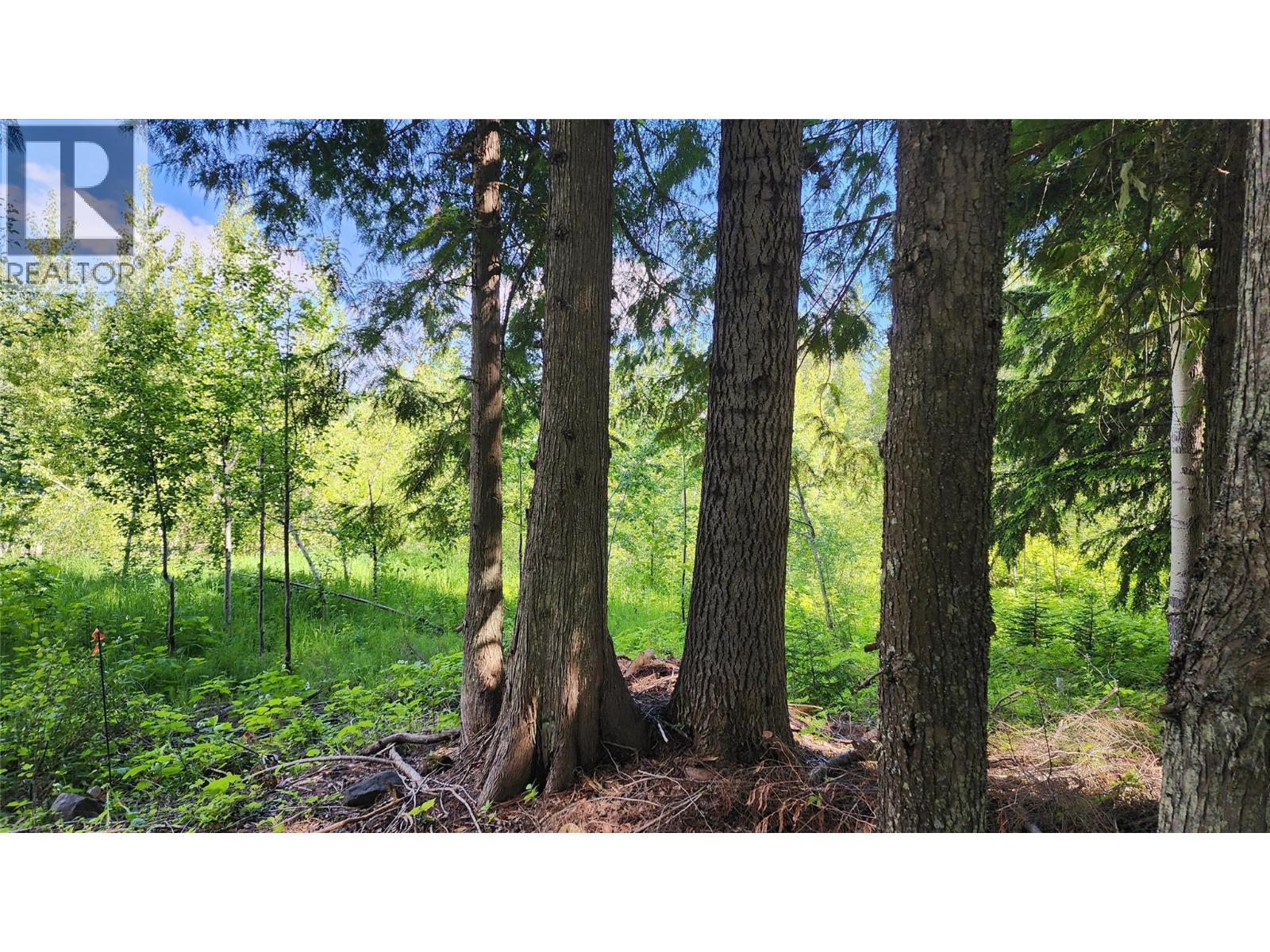 211 Cedar Creek Place, Rossland, British Columbia  V0G 1Y0 - Photo 4 - 10391402