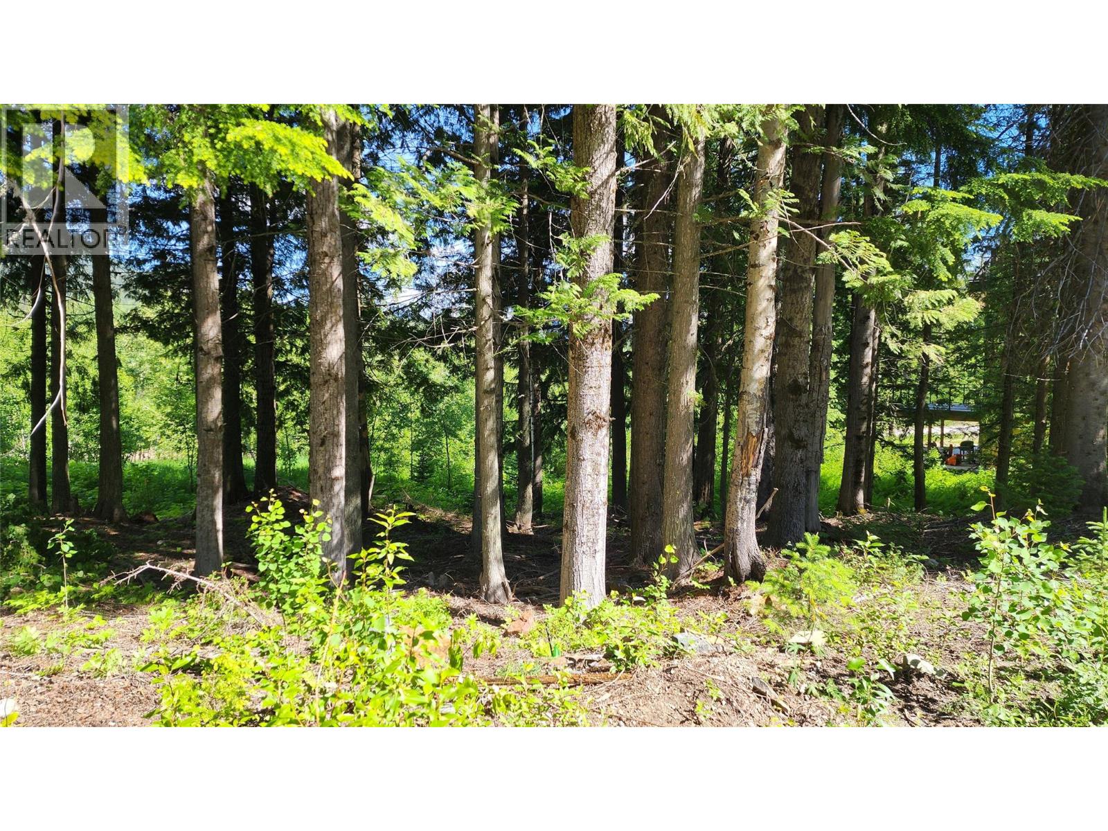 211 Cedar Creek Place, Rossland, British Columbia  V0G 1Y0 - Photo 5 - 10391402