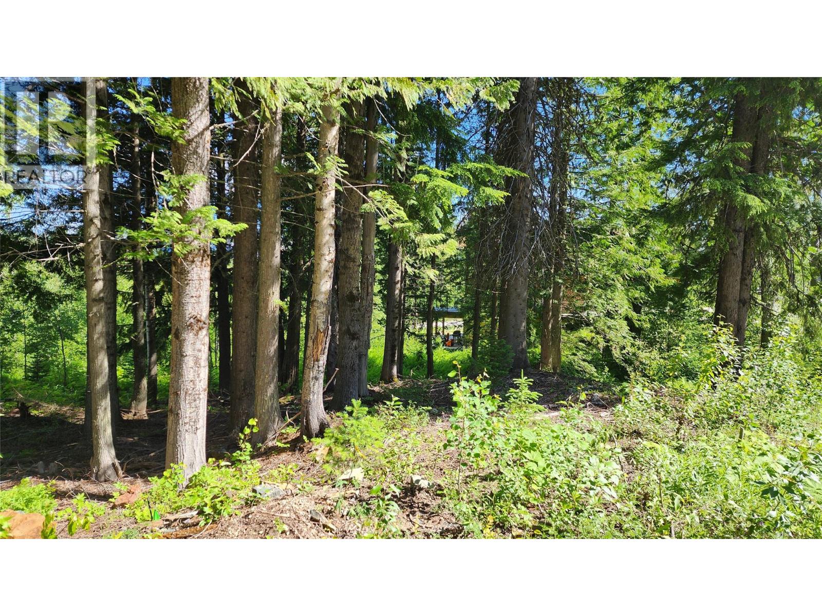 211 Cedar Creek Place, Rossland, British Columbia  V0G 1Y0 - Photo 6 - 10391402