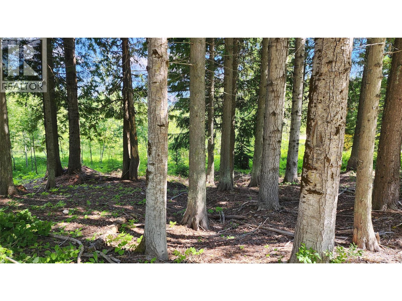 211 Cedar Creek Place, Rossland, British Columbia  V0G 1Y0 - Photo 7 - 10391402