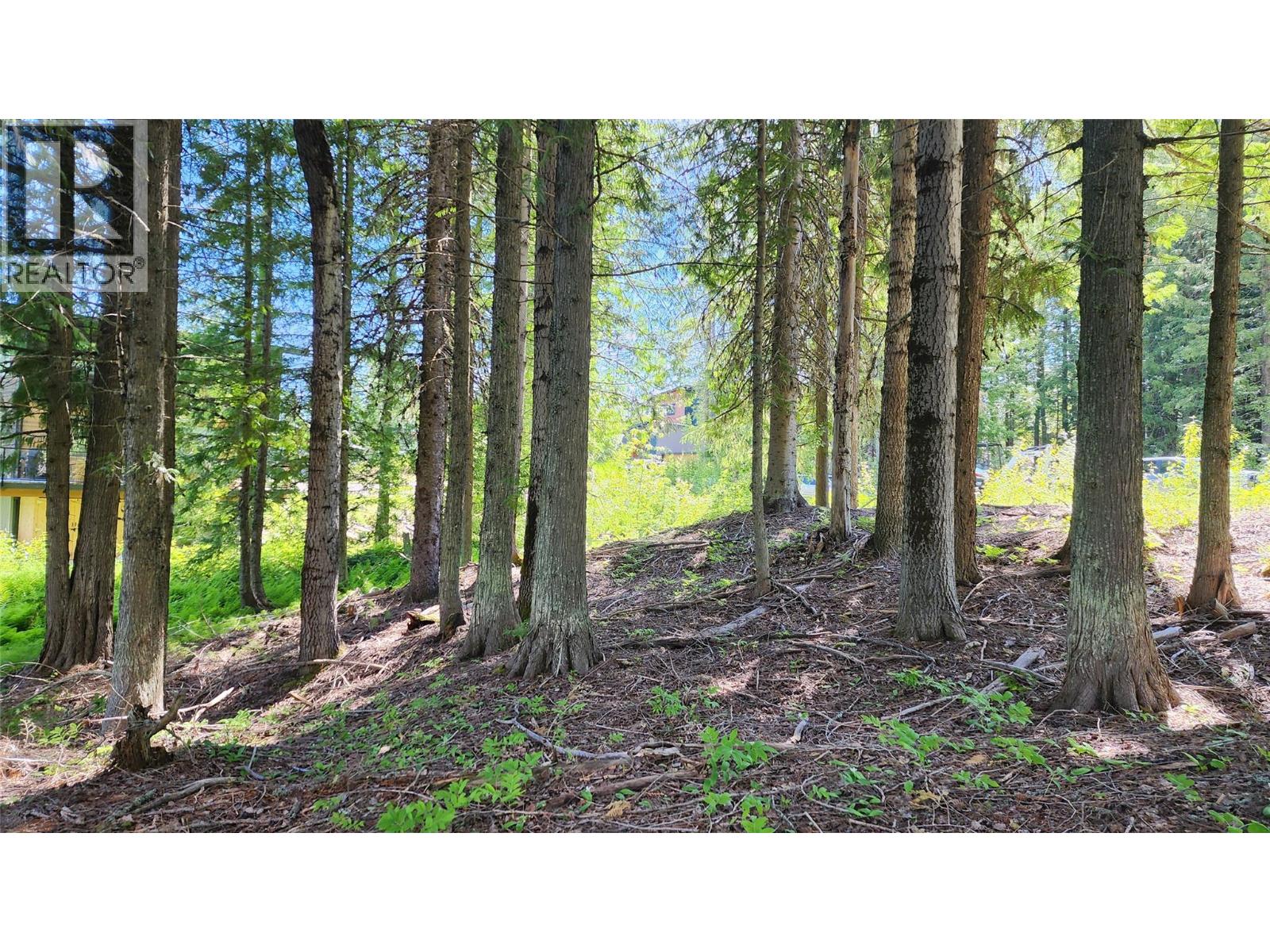 211 Cedar Creek Place, Rossland, British Columbia  V0G 1Y0 - Photo 9 - 10391402